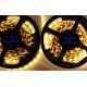 Rouleau Led 5m 12V - SMD5050 - 300 Leds 20 Lumens Blanc